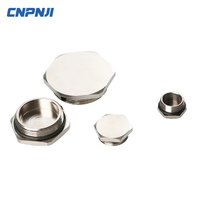 Tapa protectora roscada de metal Tapón de tornillo Polvo